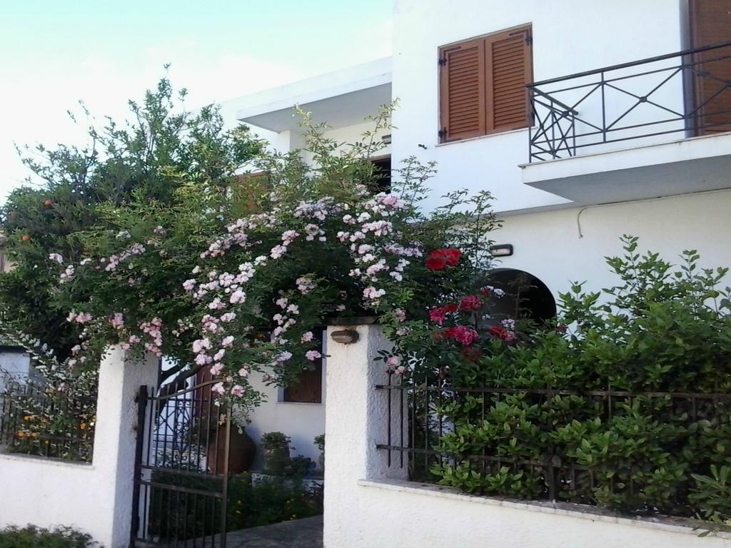 Karagiozos Studios & Apartments سكوبيلوس تاون المظهر الخارجي الصورة